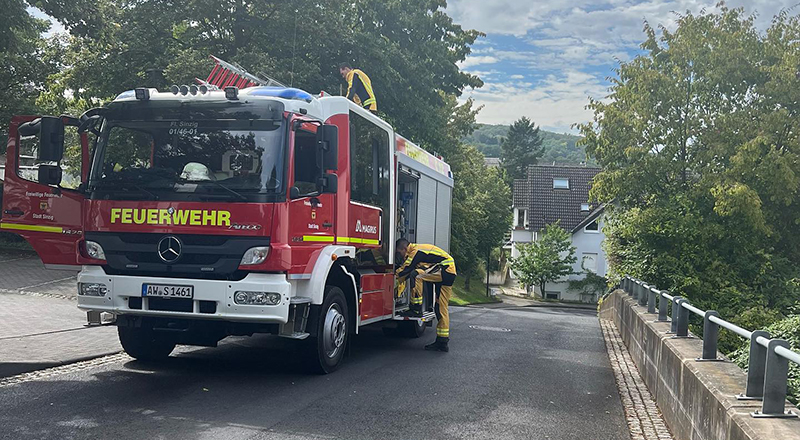 14.08.2023 - Ölspur